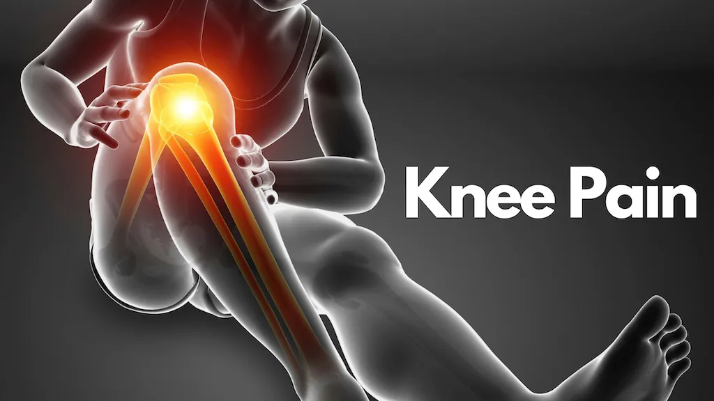 PHYSIOTHERAPHY EXERCISE FOR KNEE PAIN